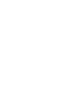 Elemento decorativo topo direito